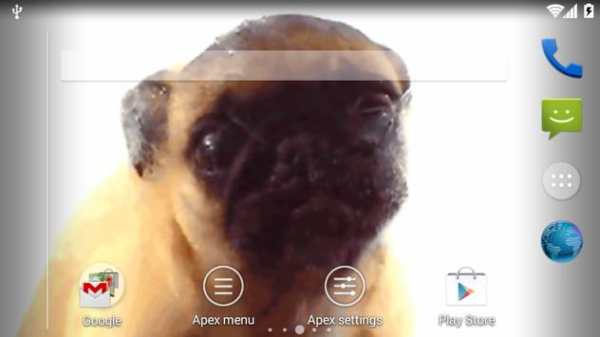Dog Lick Screen Cleaner screenshot 5