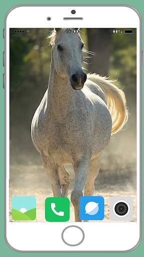 Horse Full HD Wallpaper screenshot 2