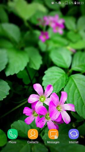 Spring Wallpaper screenshot 10