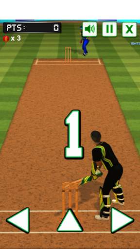 Cricket challenge Game 2020 screenshot 6