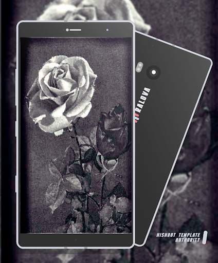 Black Rose Wallpaper screenshot 5