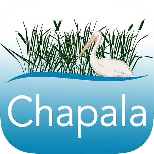 Aves de Chapala 2.0