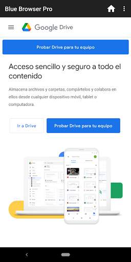Blue Browser Pro screenshot 3