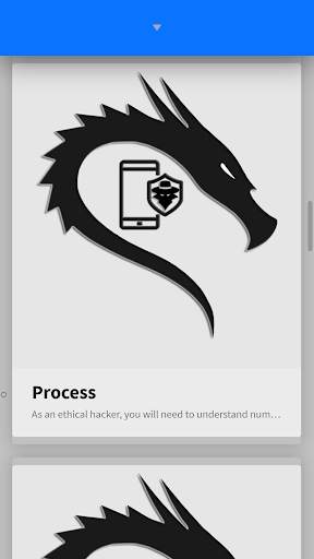 Learn Ethical Hacking Course Offline screenshot 6