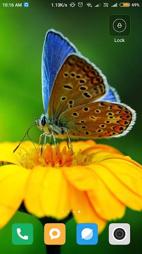 Butterfly wallpaper screenshot 6