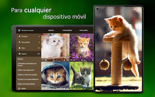 Fondos de pantalla con gatitos screenshot 6
