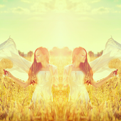 Insta Mirror icon