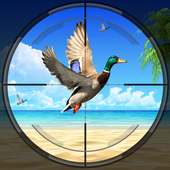 Real Duck Hunting 2018 Season: FPS Shooting Game logo