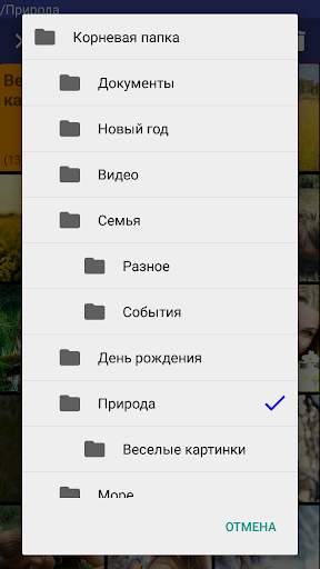 Фото галерея с паролем - Сейф скриншот 4