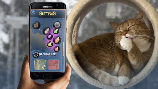 Game for cats Mouse screenshot 4