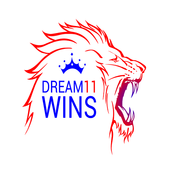 Dream11 Wins icon