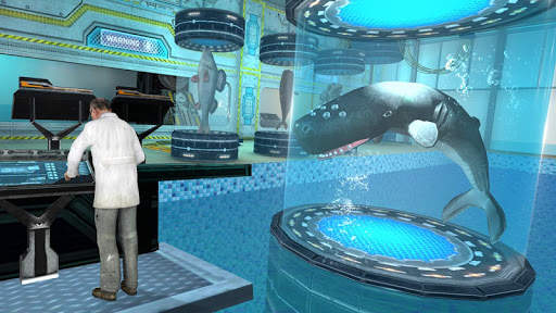 Whale Shark Attack Simulator screenshot 14