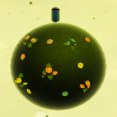 Little Planet icon