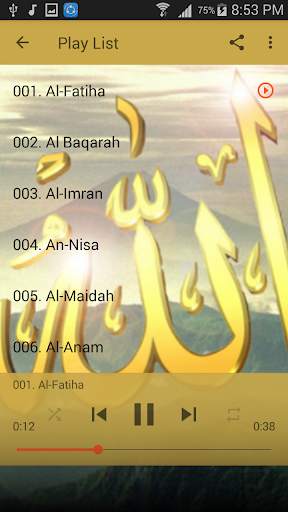 Shuraim Quran Full Offline mp3 screenshot 3