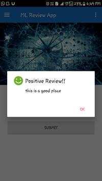 ML ReviewApp screenshot 4