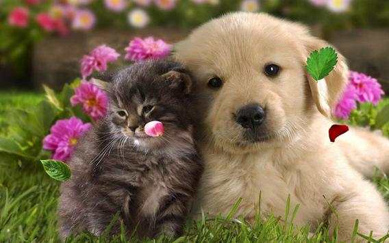 Spring Animals live wallpaper screenshot 4