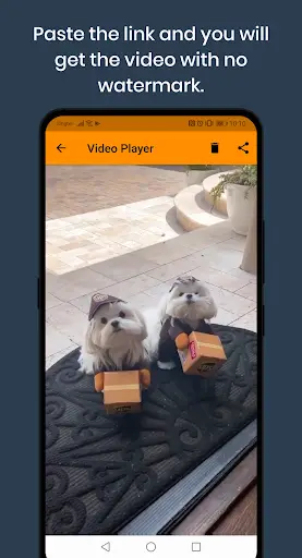 All Video Downloader screenshot 3