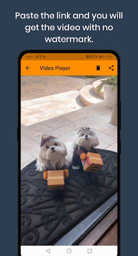 All Video Downloader screenshot 3