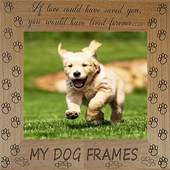 MY DOG FRAMES 1.0