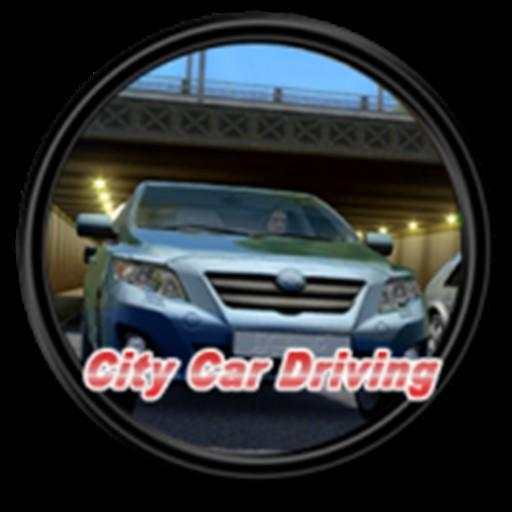 City Driving 1.0