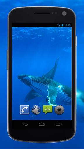 4K Whales Video Live Wallpapers screenshot 3