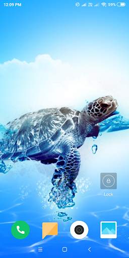 Turtle HD Wallpaper screenshot 2