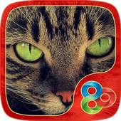 Kitty Theme for GO Launcher 2.0