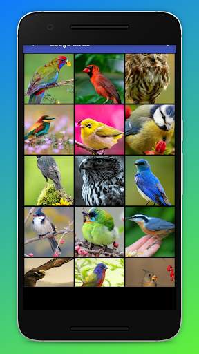 Zedge Birds HD Wallpapers screenshot 3