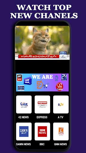 Pakistan News TV screenshot 3