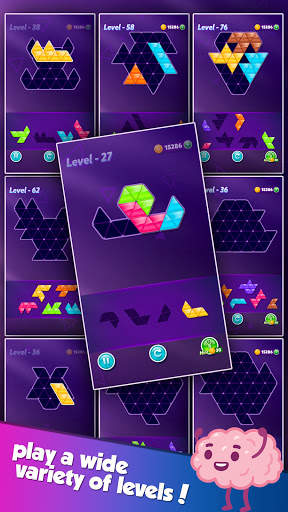 Block! Triangle Puzzle Tangram screenshot 6