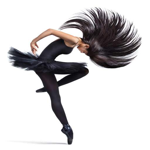 Ballet Wallpaper 2.0
