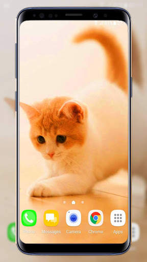 Cats Live Wallpaper screenshot 5