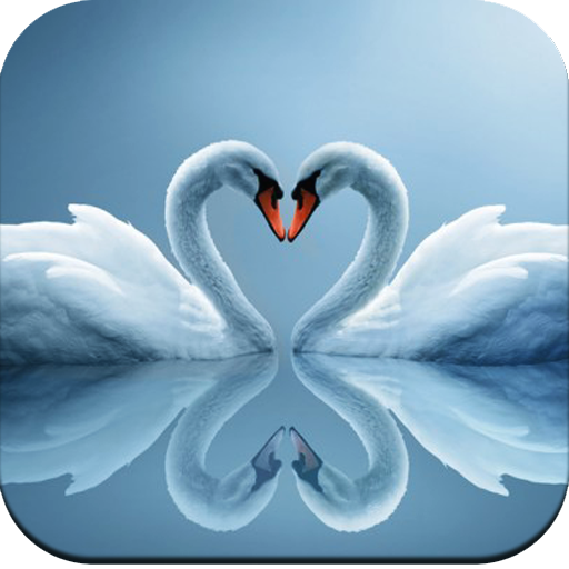 Swan Wallpaper icon