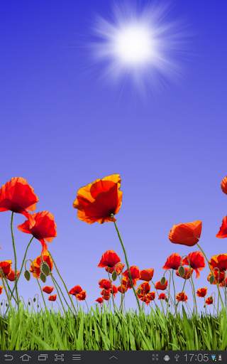 Poppy Field Free screenshot 9