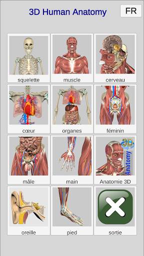 3D Bones and Organs (Anatomy) screenshot 1