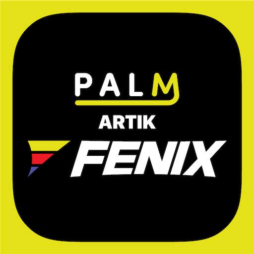 Palm – Electric Scooter 2.4.20