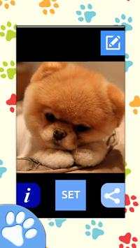 Dog Wallpapers screenshot 4