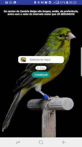 Canário Belga Fibra screenshot 3