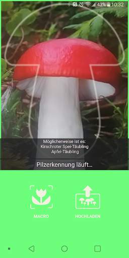 Pilze app screenshot 3