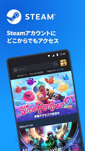 Steam screenshot 1