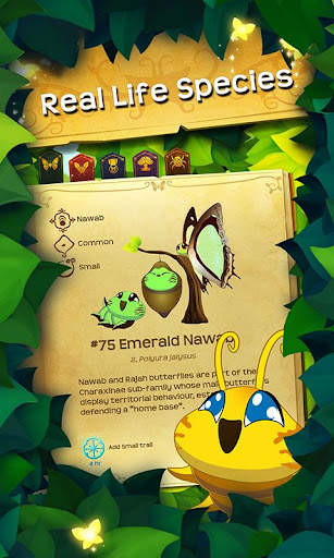 Flutter: Butterfly Sanctuary screenshot 3