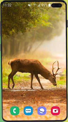 Deer Wallpaper HD screenshot 1