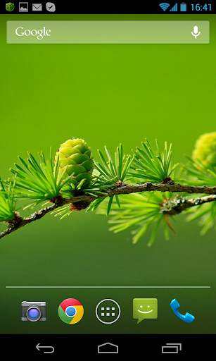Nature Wallpaper screenshot 3