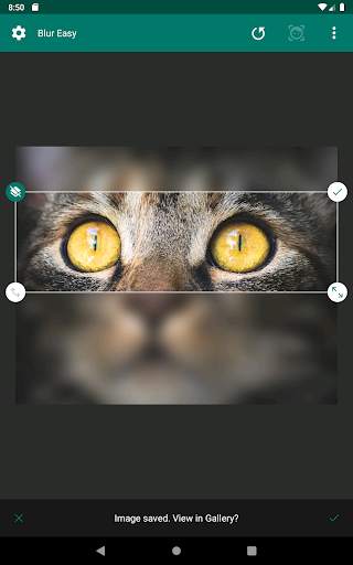 Blur Easy screenshot 16