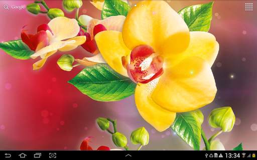 Orchids Wallpaper screenshot 8