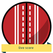 cricket score icon