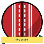 cricket score