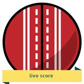 cricket score 1.0