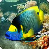 Tropical Fish live wallpaper 1.13