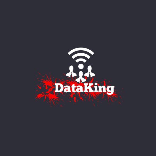 Data King App icon